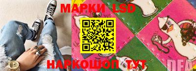 прущие грибы Гудермес