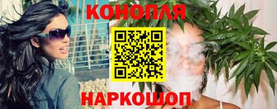 прущие грибы Гудермес