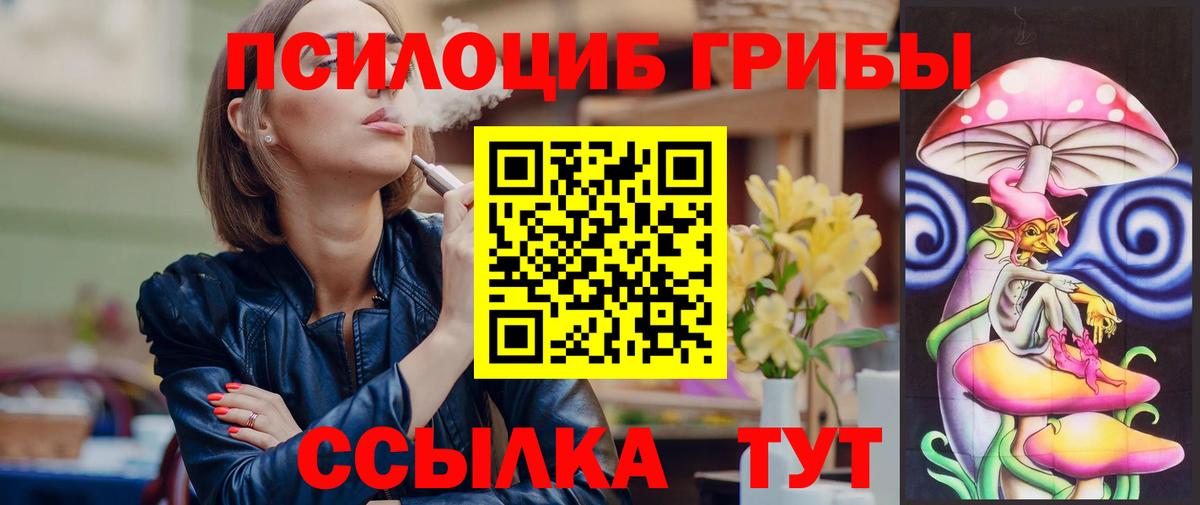 Галлюциногенные грибы MAGIC MUSHROOMS  цены   Егорьевск  Вход с VPN 
