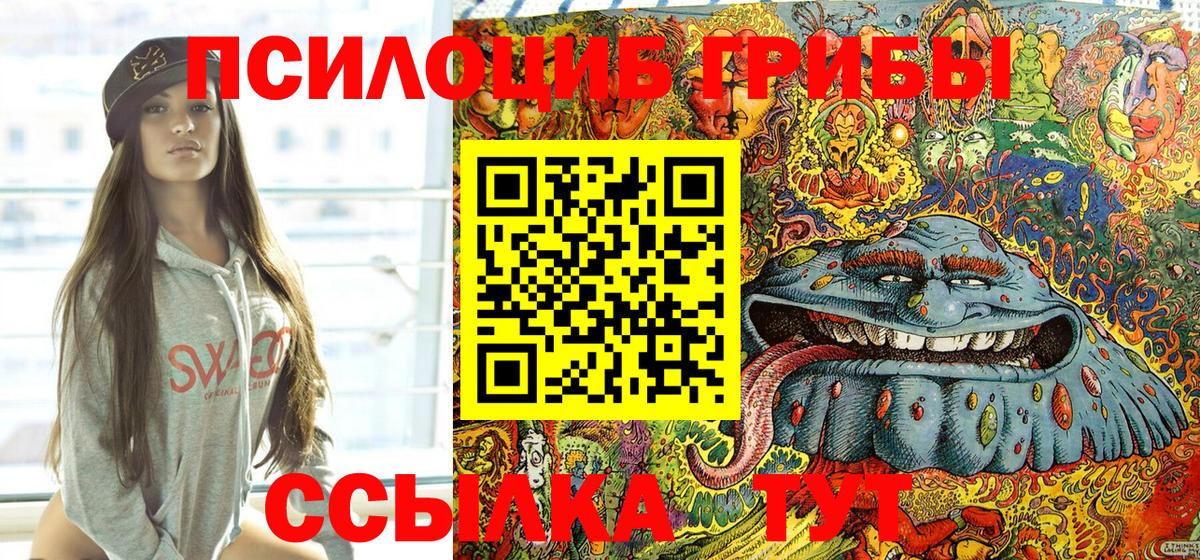Псилоцибиновые грибы GOLDEN TEACHER Егорьевск
