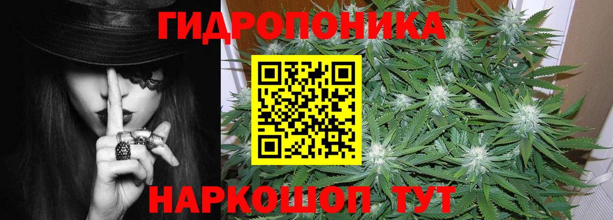 Шишки марихуана конопля Егорьевск